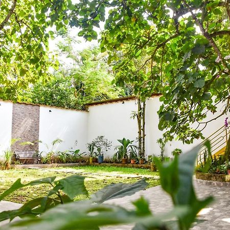 Green House Tarapoto Εξωτερικό φωτογραφία