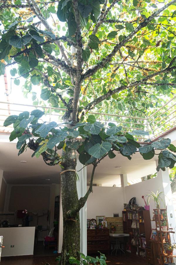 Green House Tarapoto Εξωτερικό φωτογραφία