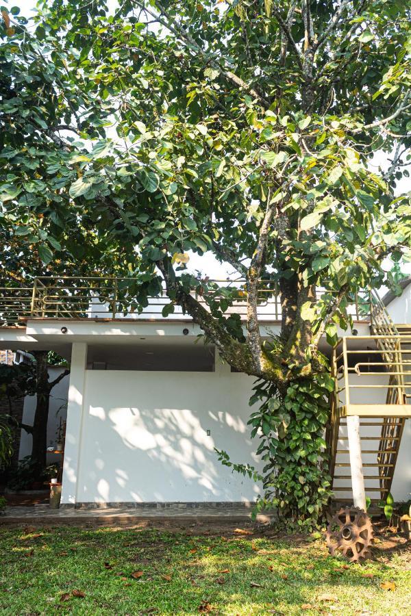 Green House Tarapoto Εξωτερικό φωτογραφία