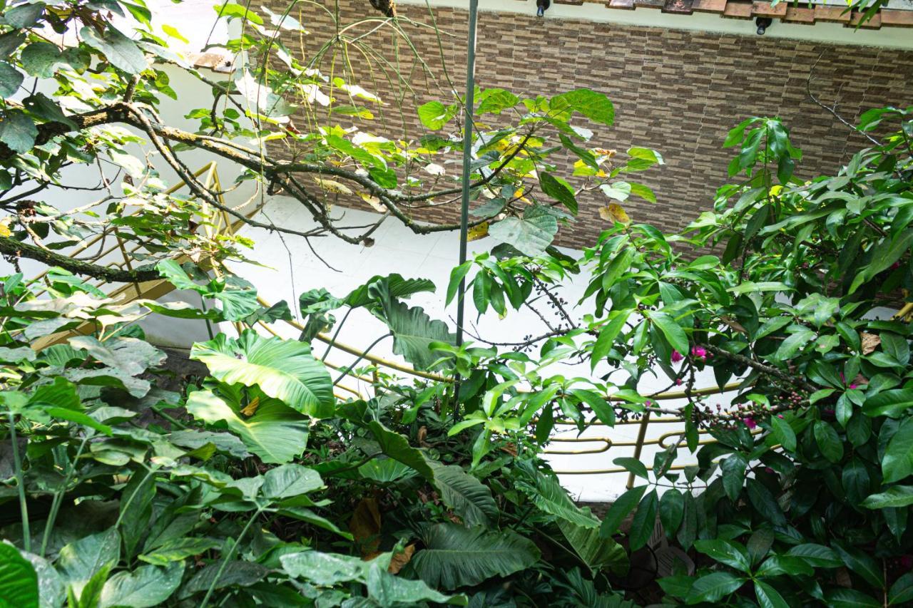 Green House Tarapoto Εξωτερικό φωτογραφία