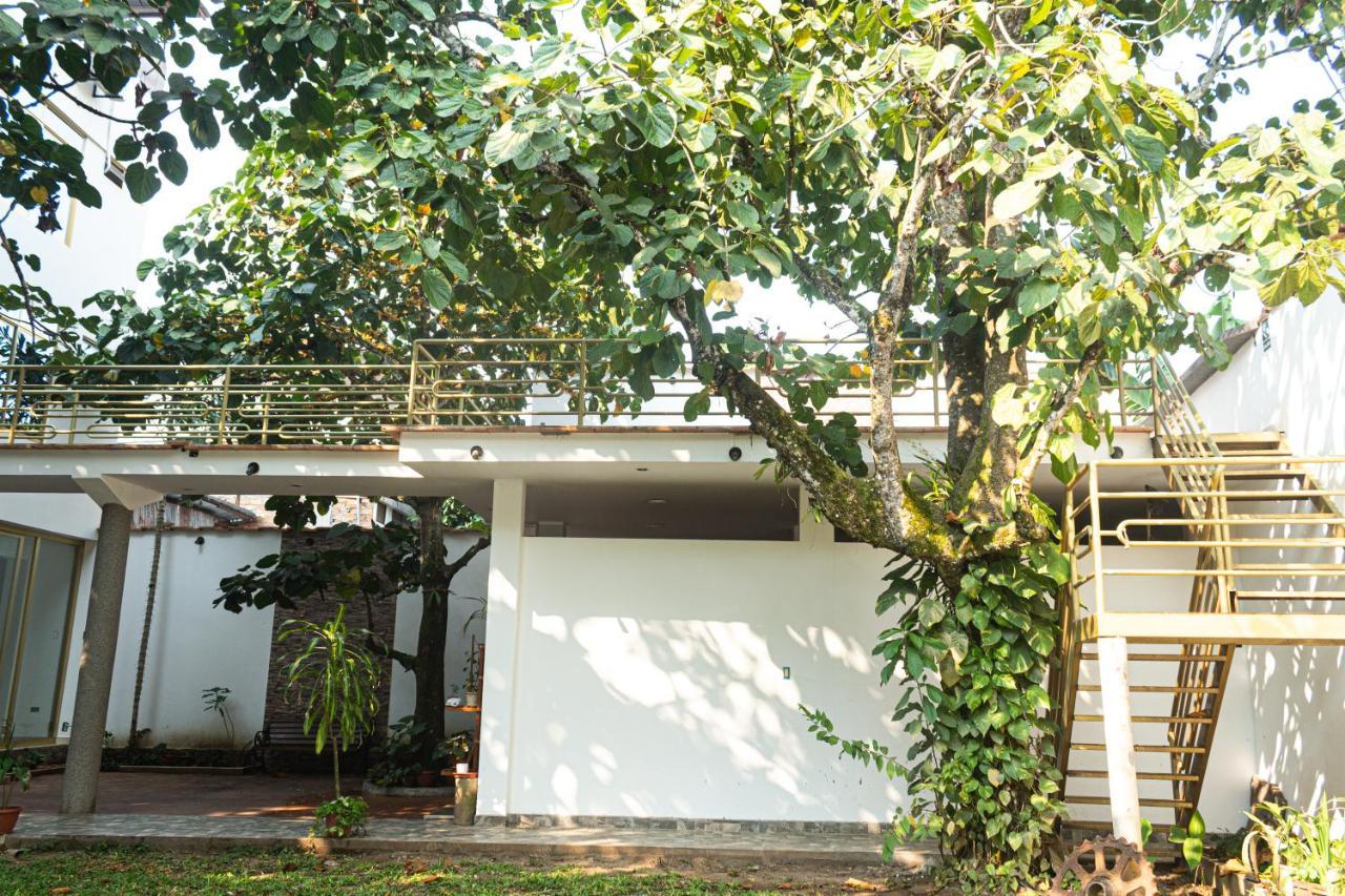 Green House Tarapoto Εξωτερικό φωτογραφία