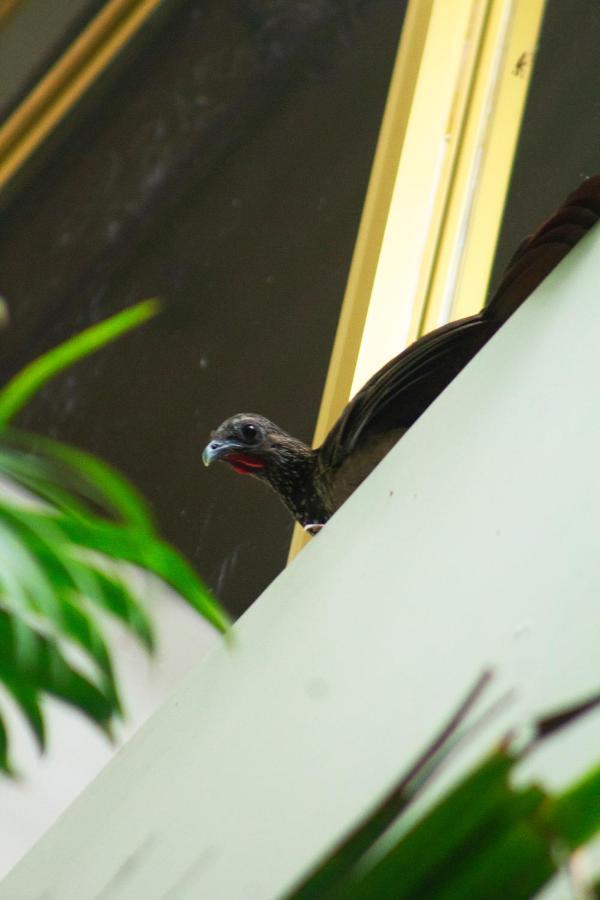 Green House Tarapoto Εξωτερικό φωτογραφία